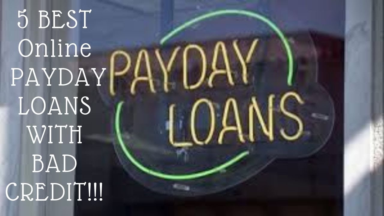 5 Best Online Payday Loans With No Credit Check And Bad Credit 2020