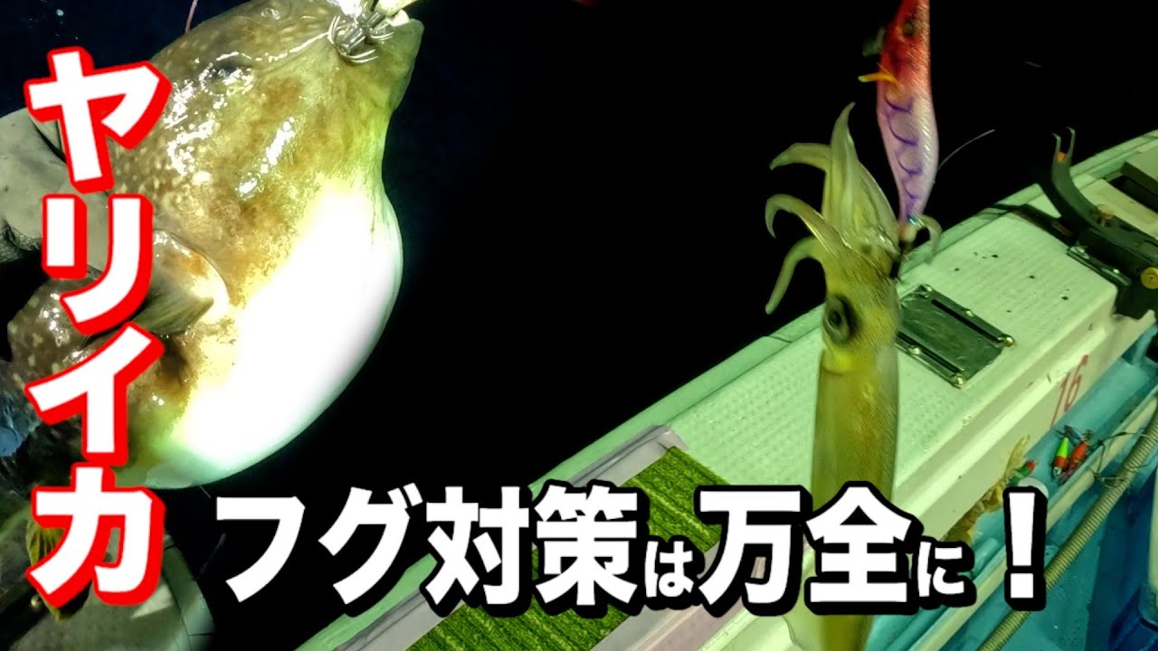【イカメタル オモリグ】ヤリイカ開幕〜フグ対策は万全に！