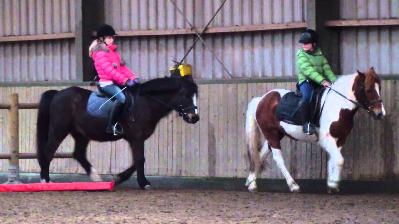 Paardrijden 17 feb 2014