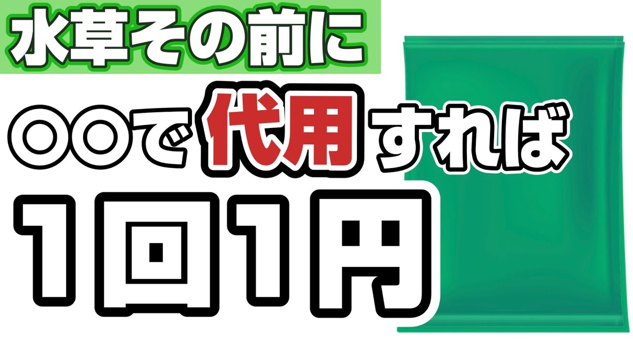 水草その前にの代用方法
