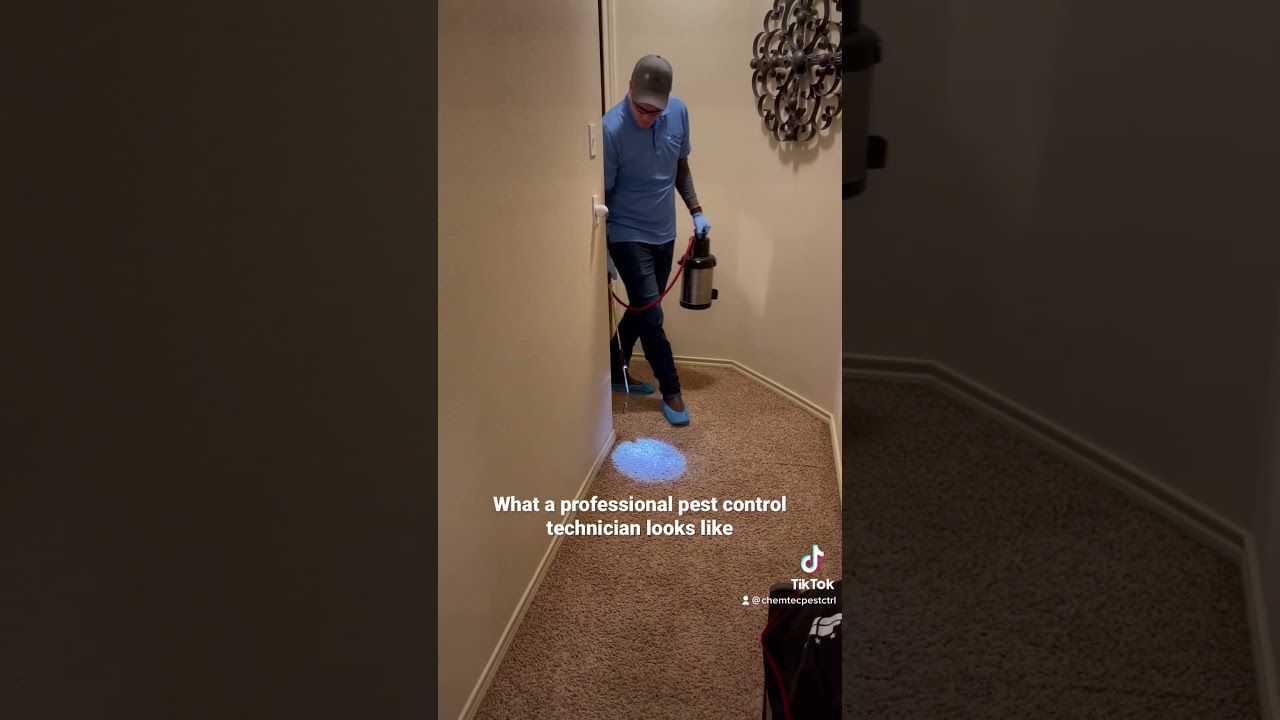 What does a professional pest control technician look like?