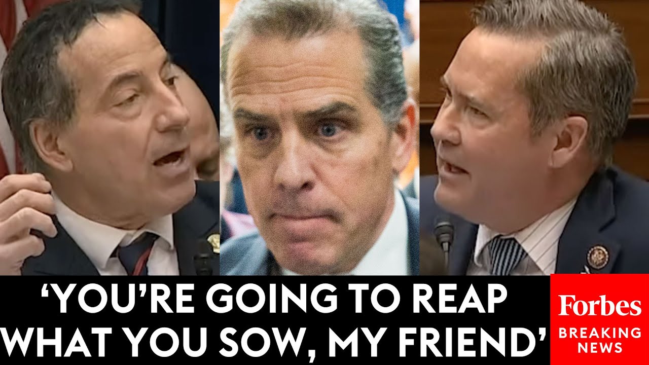 Michael Waltz Issues Blunt Warning To Jamie Raskin At Hunter Biden Contempt Of Congress Hearing