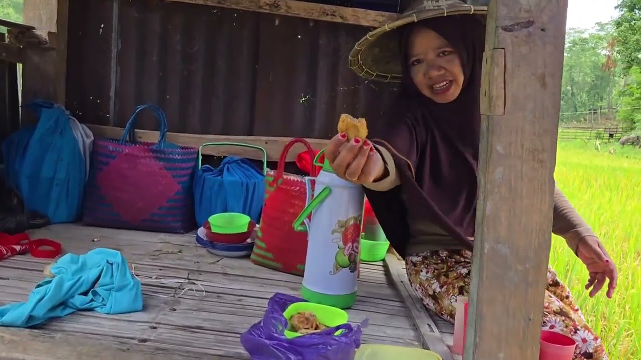 PANEN PADI DI KAMPUNG HALAMAN‼️Sambil nikmati serunya makan dan ngopi bareng di sawah