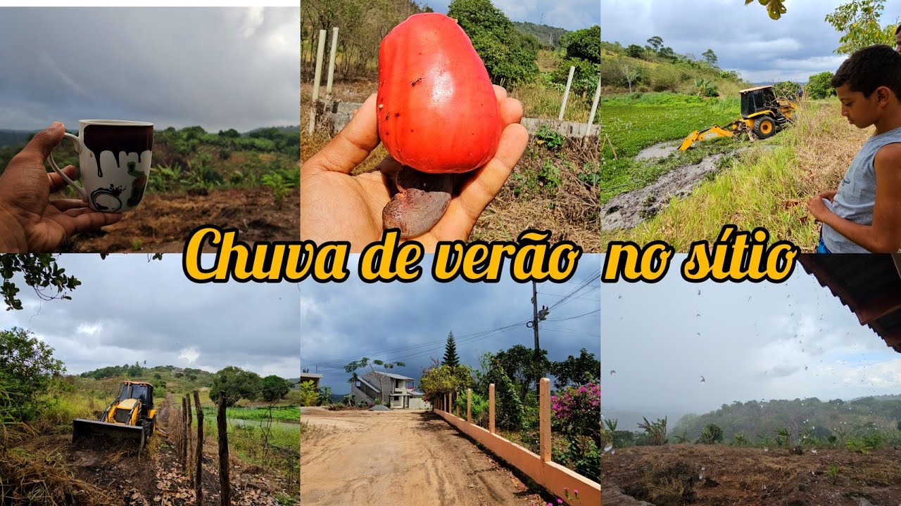 O trabalho no sítio  não  para//fiz uma estrada  no meu terreno//plantei uma palmeira no meu jardim 