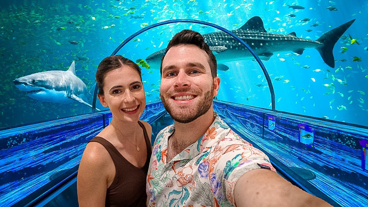 Наше ПЕРВОЕ совместное посещение SeaWorld Orlando!