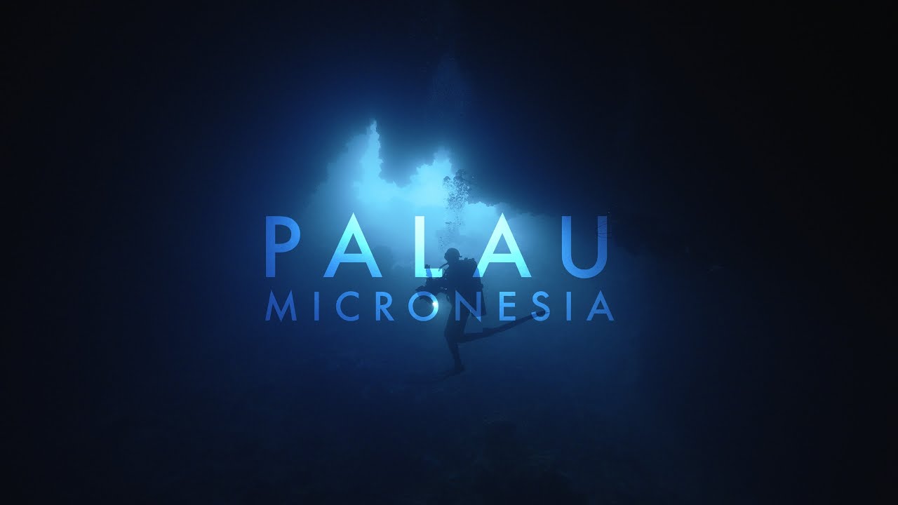PALAU | Where Duality Reigns | Scuba Diving Cinematic Underwater Video |  UHD 4K