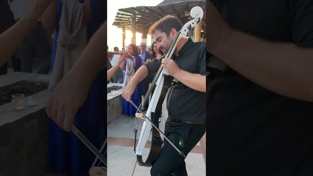 Olivia Dean cover feels completely different when you hear it live at your wedding!🎻💍