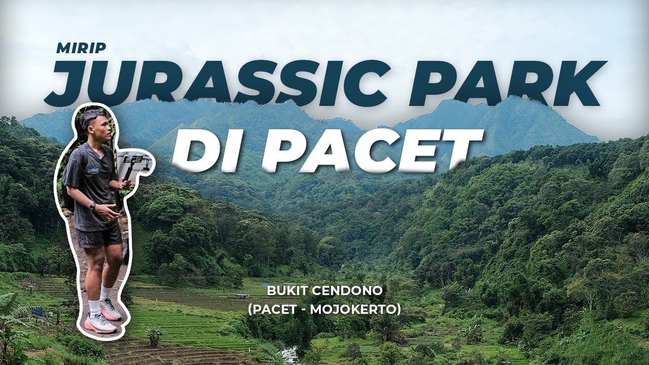 Mendaki BUKIT CENDONO serasa Menyusuri Hutan Tropis