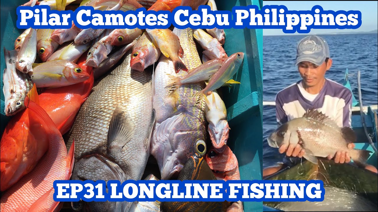 EP31 LONGLINE FISHING IN PILAR CAMOTES CEBU, PHILIPPINES