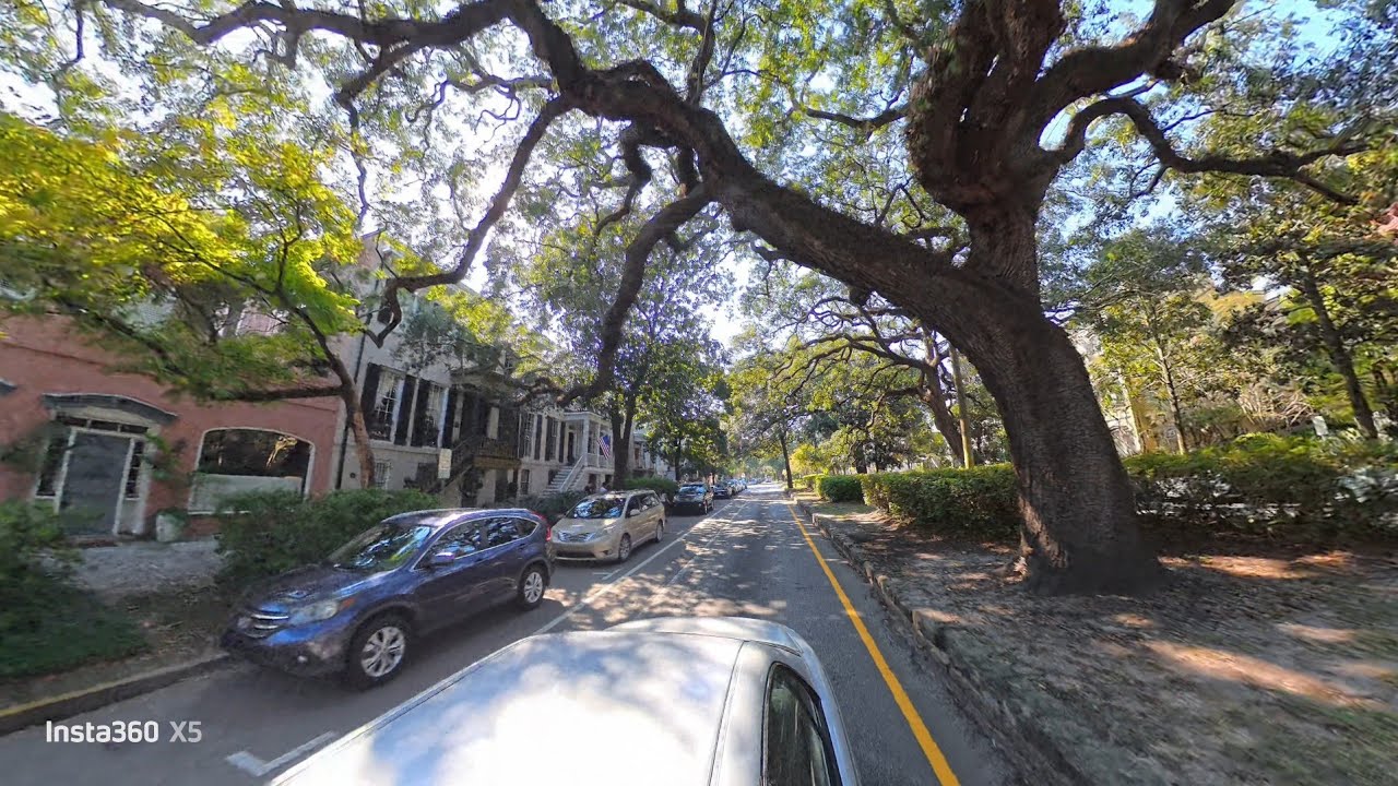 Driving Through Jacksonville’s Beautiful Neighborhood Streets Part 2|Stunning Trees & Scenic Views🌳🚗