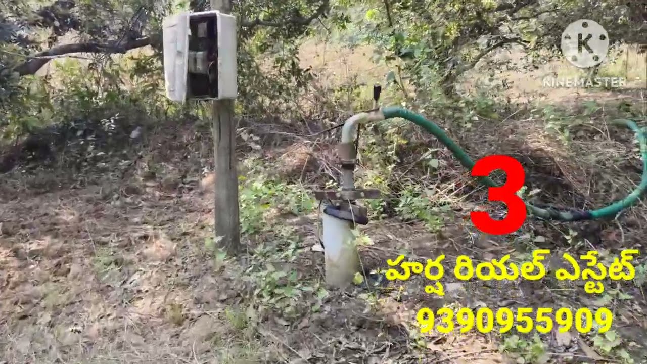 Land for sale 6.80 సెంట్ల మామిడి తోట అమ్మబడును 9390955909