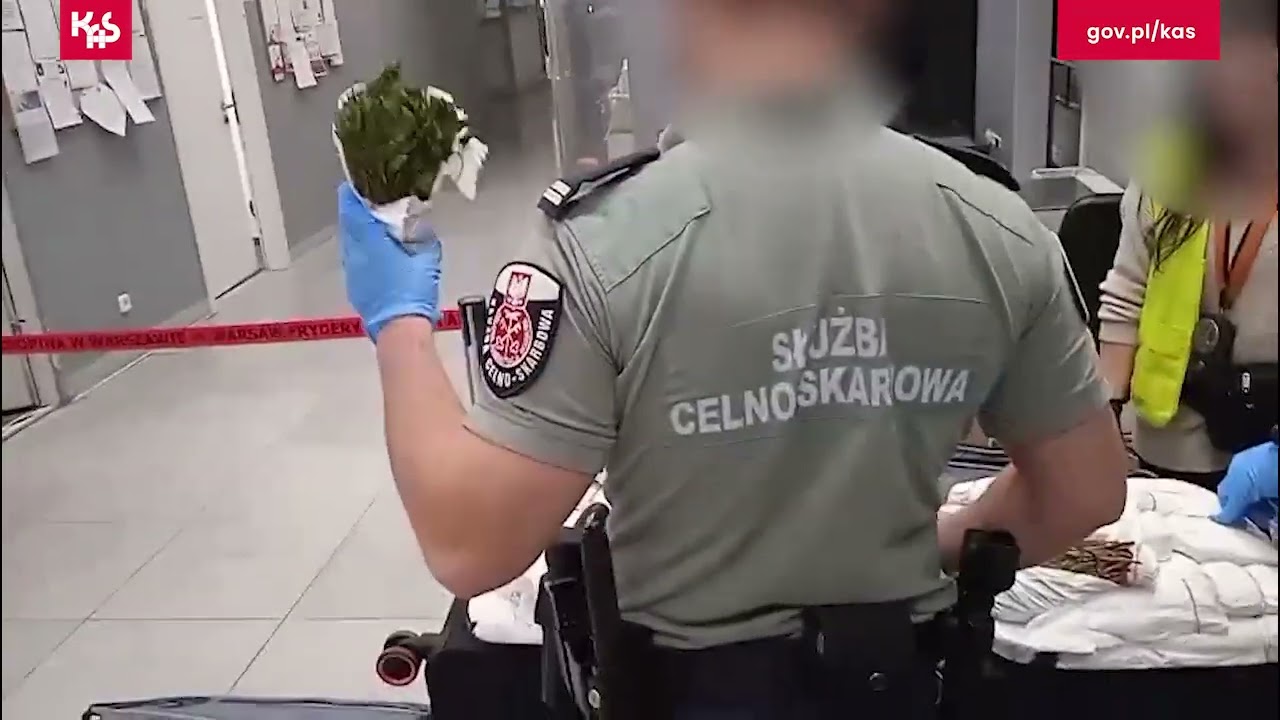 KAS zatrzymała ponad 70 kg narkotyków na warszawskim lotnisku