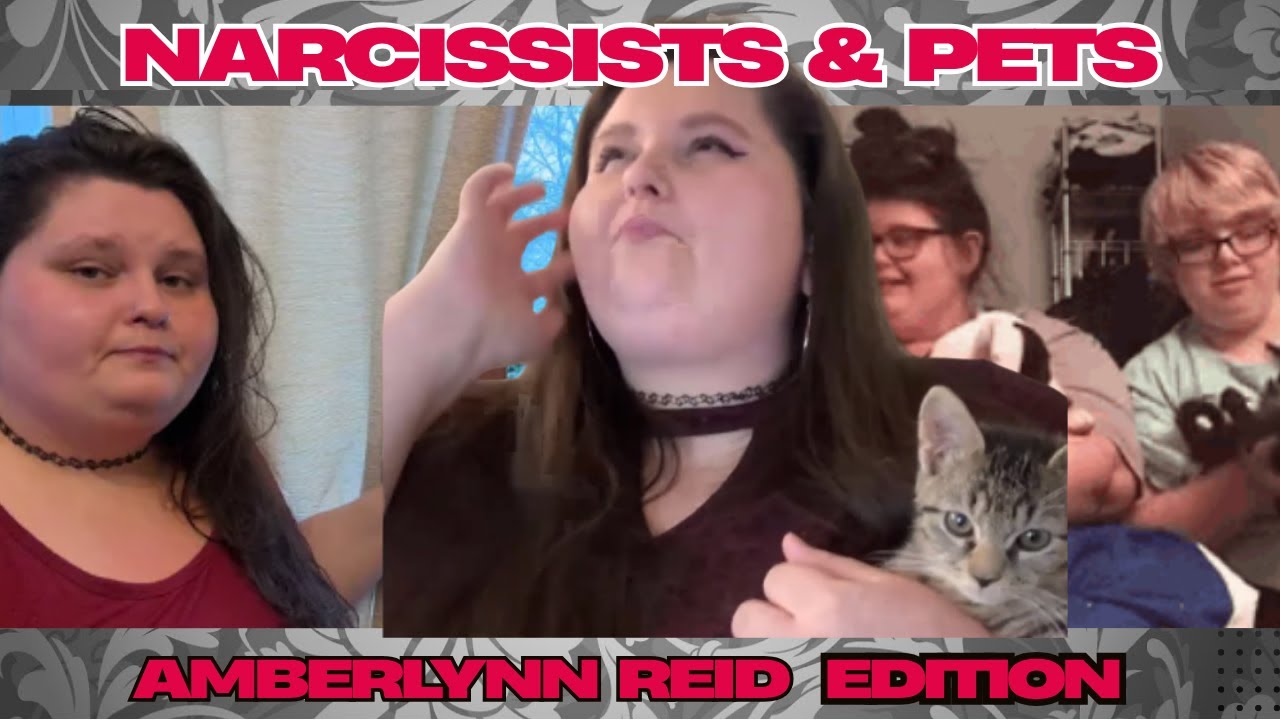 Narcissists and Pets - AMBERLYNN REID EDITION