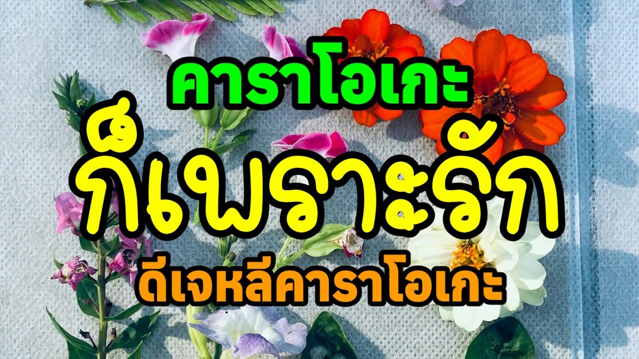 ก็เพราะรัก - คาราโอเกะ