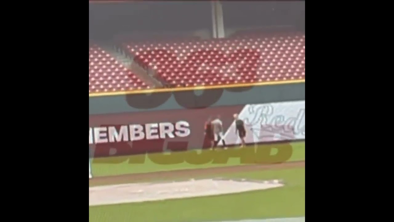Tommy Pham slaps Joc Pederson over fantasy football dispute