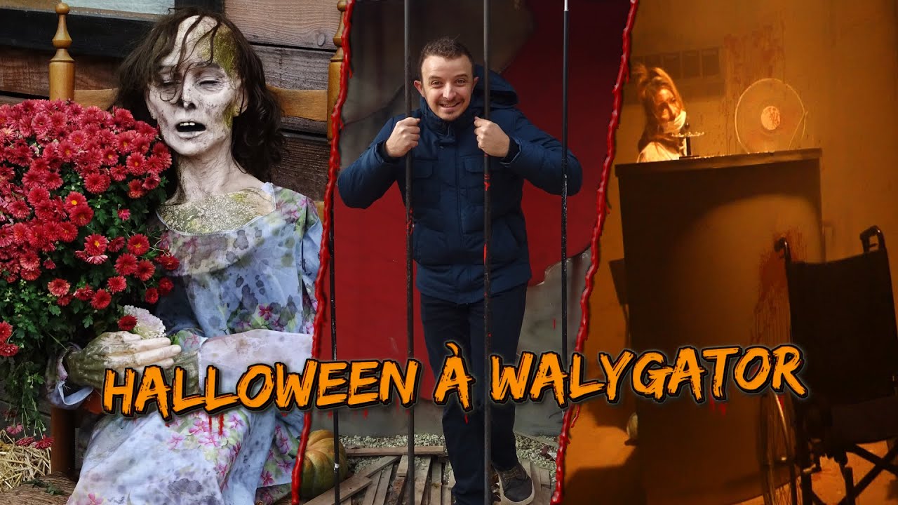 HALLOWEEN A WALYGATOR : UNE BELLE SURPRISE ! (avec images terreur à l'asile)