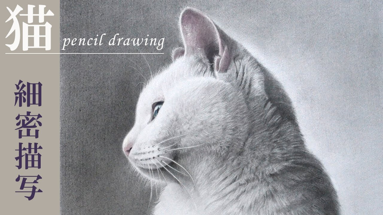 【鉛筆画】写実的な猫の描き方/水彩画/デッサン/鉛筆画入門/pencil drawing/water color