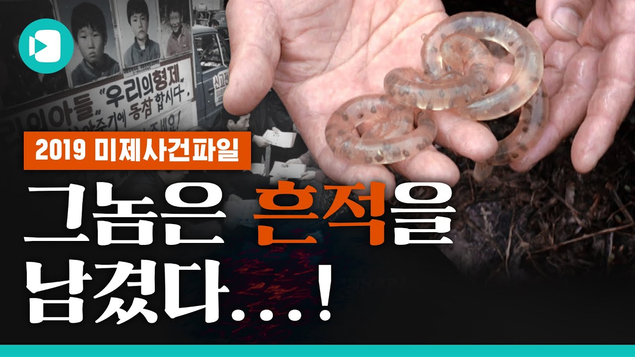 당신이 몰랐던 그놈의 '흔적'…2019 미제사건파일 / 비디오머그