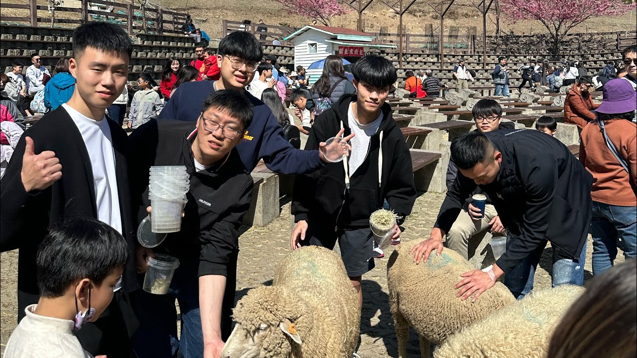 生活Vlog EP4-1 好久沒來清境農場🐑🐑｜潔思米米