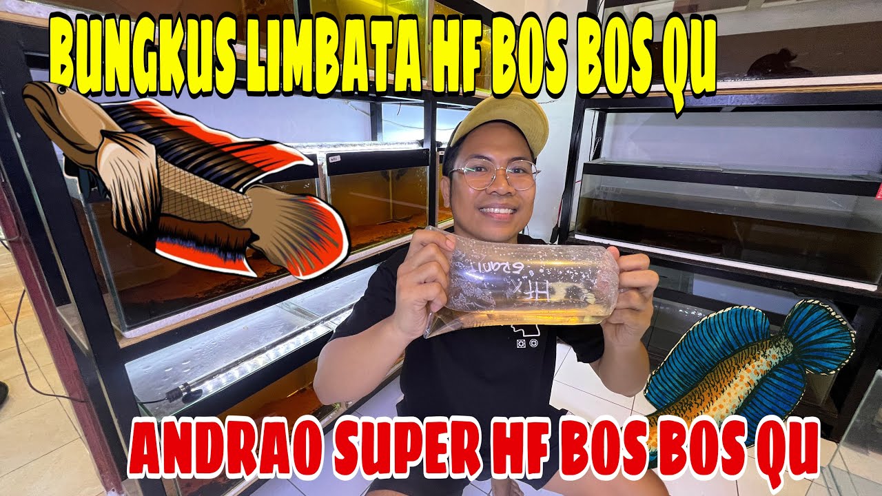 BUNGKUS IKAN HF SLAYER BOS BOS QUE⁉️