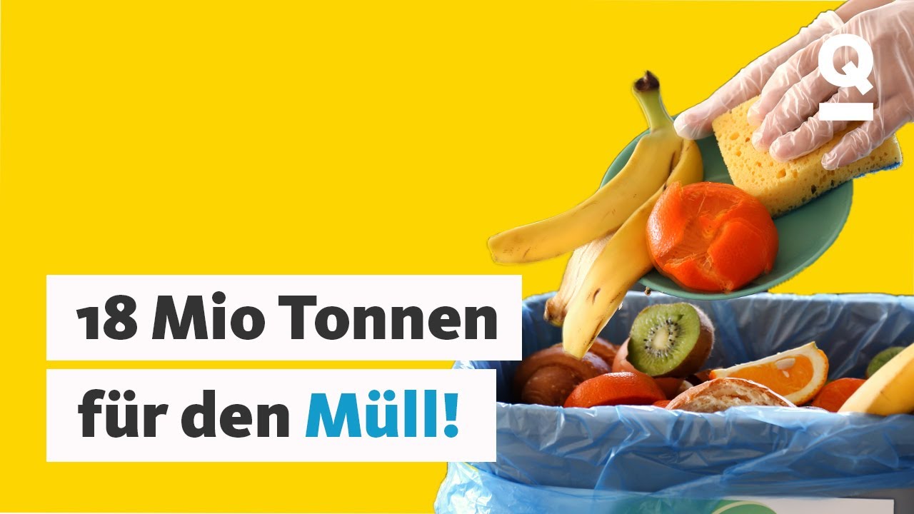 Lebensmittel für die Tonne: So viel Essen wird weggeschmissen | Quarks