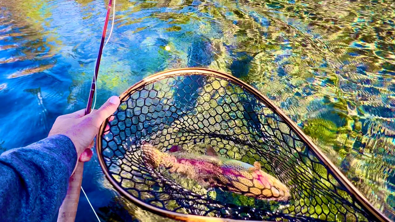 Almost Every Cast (Fly Fishing for Trout in a Crystal Clear Stream)