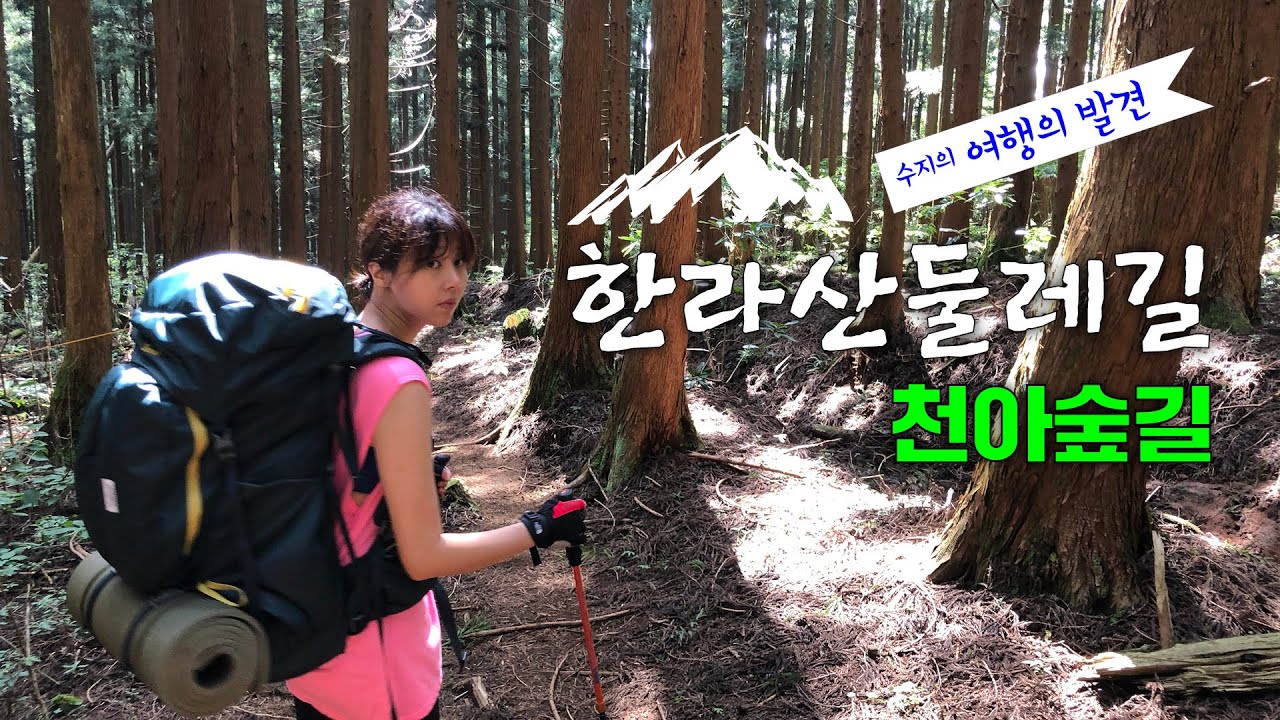 제주 한라산 둘레길 | 천아숲길을 백팩을 메고 걸었어요.