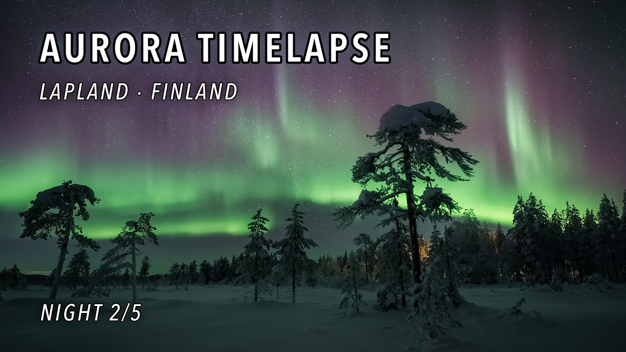 Electric Aurora Dance Over Frozen Pine Trees in Ylläsjärvi, Lapland | Night 2/5 [4K Timelapse]
