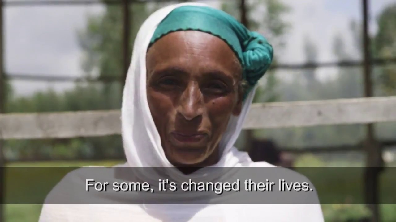 Episode 3: Ethiopia (REDD+ and the future of African Forests)