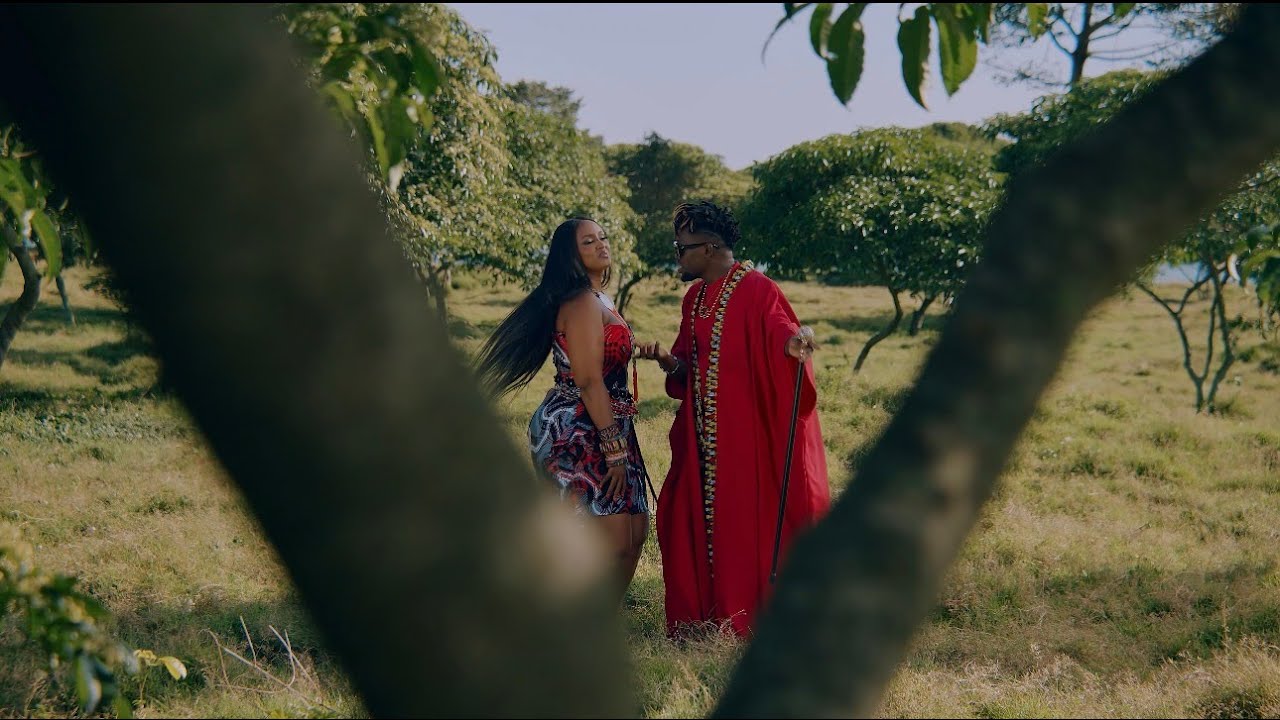 Dax Vibez X Laika  Human Form    ( Official Music Video )