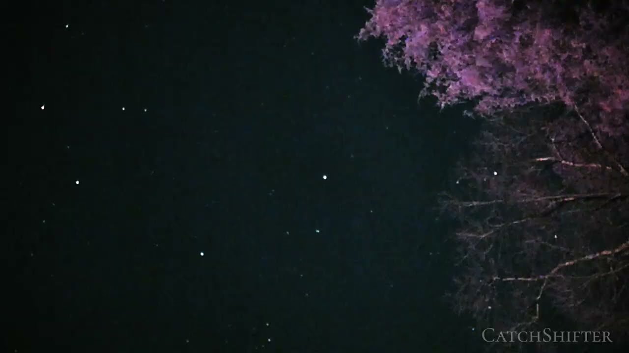 Starlink-338 (G6-99) 01.01.2026