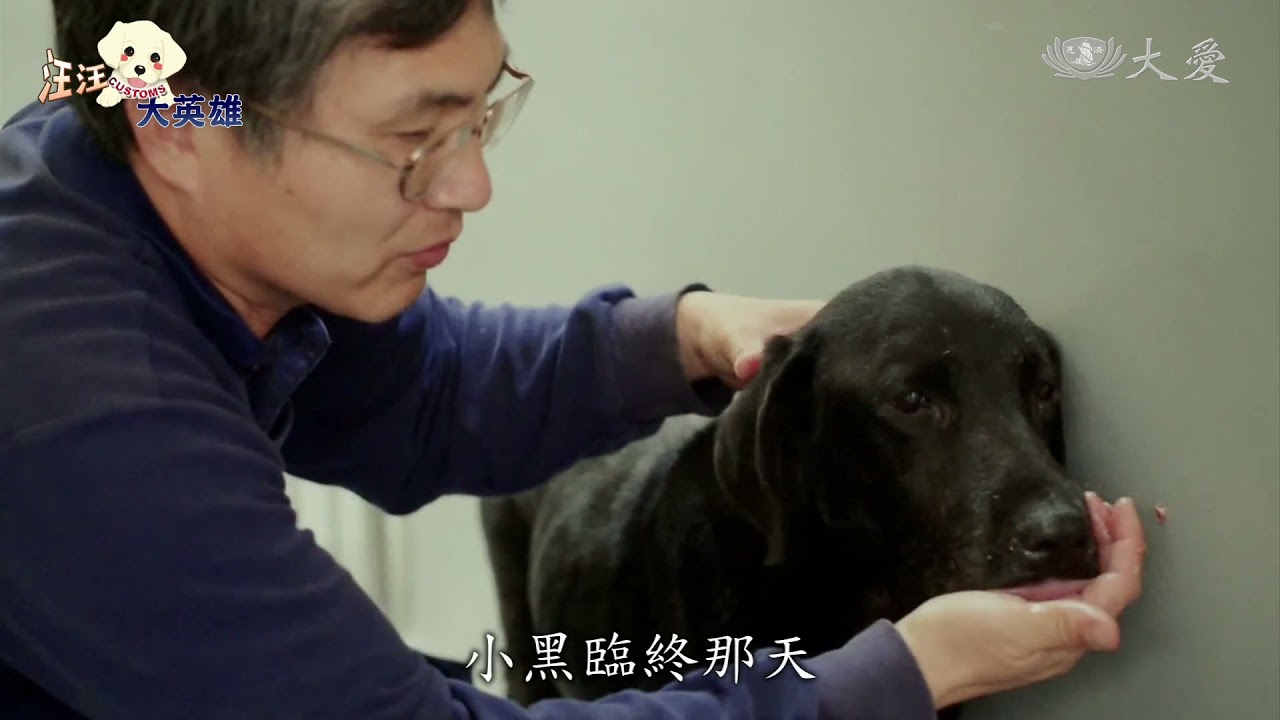 給家伴牠到老！ 緝毒犬退休後新生活