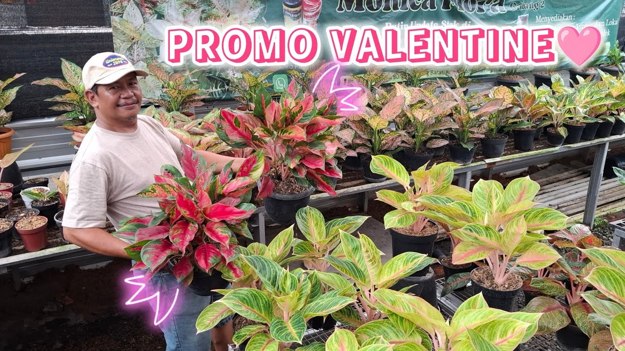 PROMO HARI KASIH SAYANG !! GILA GILAAN DISKONNYA !!!