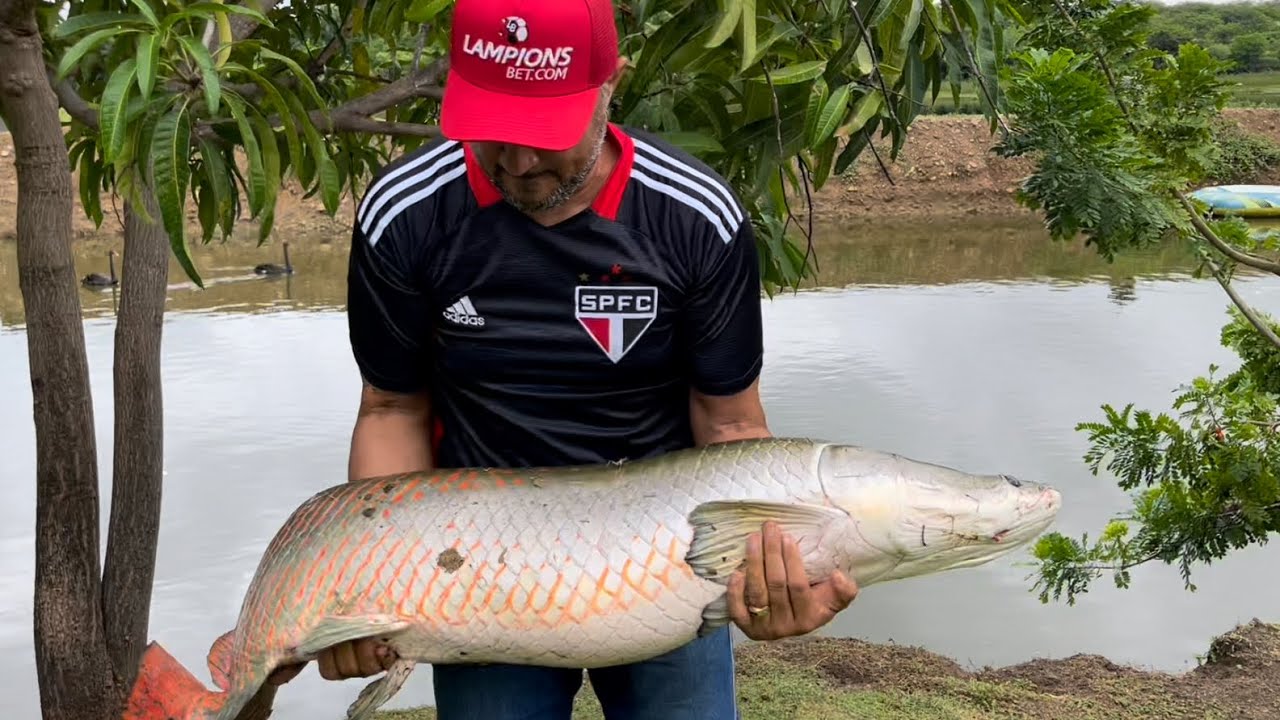 CHARLLES PESCANDO O PIRARUCU NA CHÁCARA COMÉDIA SELVAGEM