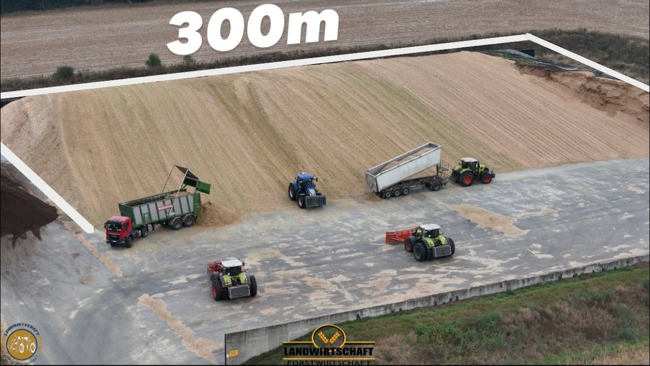Der wird Gro&szlig;! 300m Maisberg bauen mit 2 Claas Axion f&uuml;r die Biogasanlage Lohnauftrag Mais Schieben