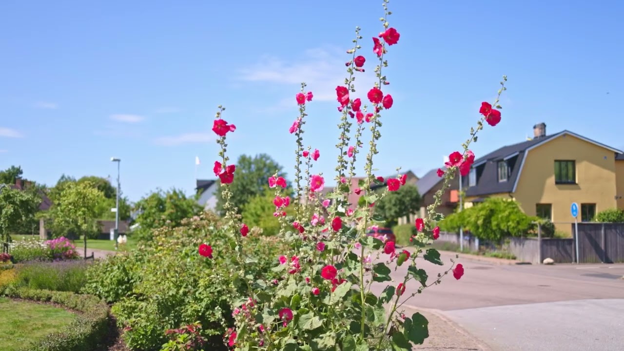 Höganäs kulturmiljöwebb: Fiskeläget och Nedre