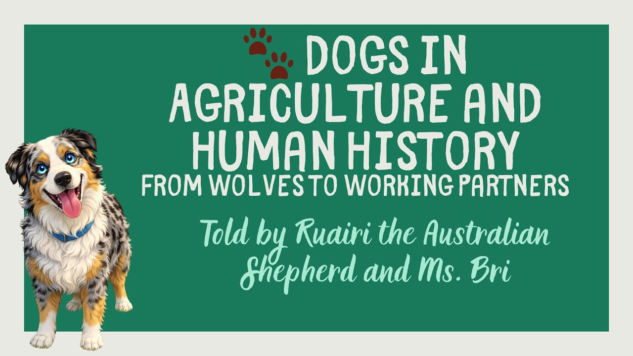 The Role of Dogs in Agriculture and Human History | Farm Dogs for Kids
