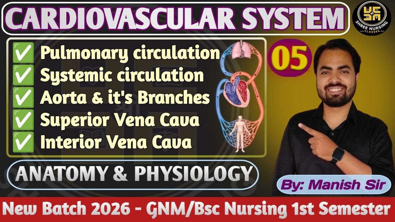 Part-05 | Pulmonary & Systemic Circulation | Aorta & it's Branches | Superior & Inferior Vena Cava l