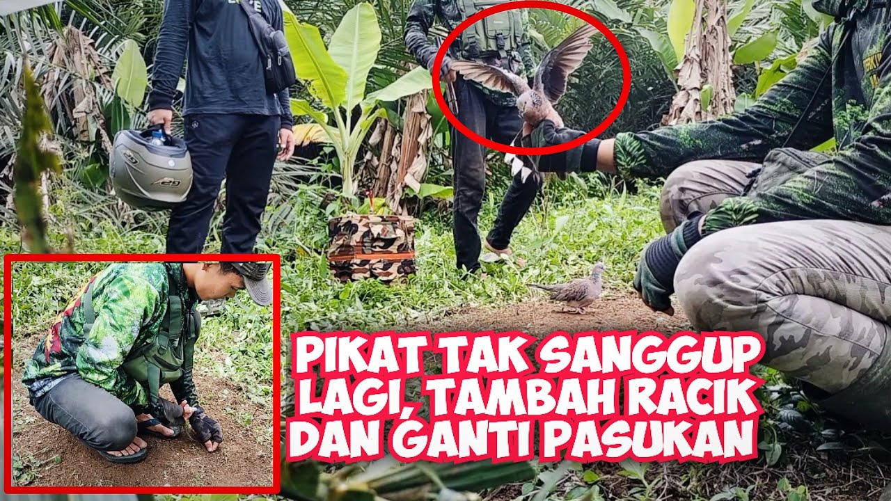 Tak Sanggup, Pikat Nyaris Jadi Perkedel,. Terpaksa Tambah Racik dan Ganti Pasukan..