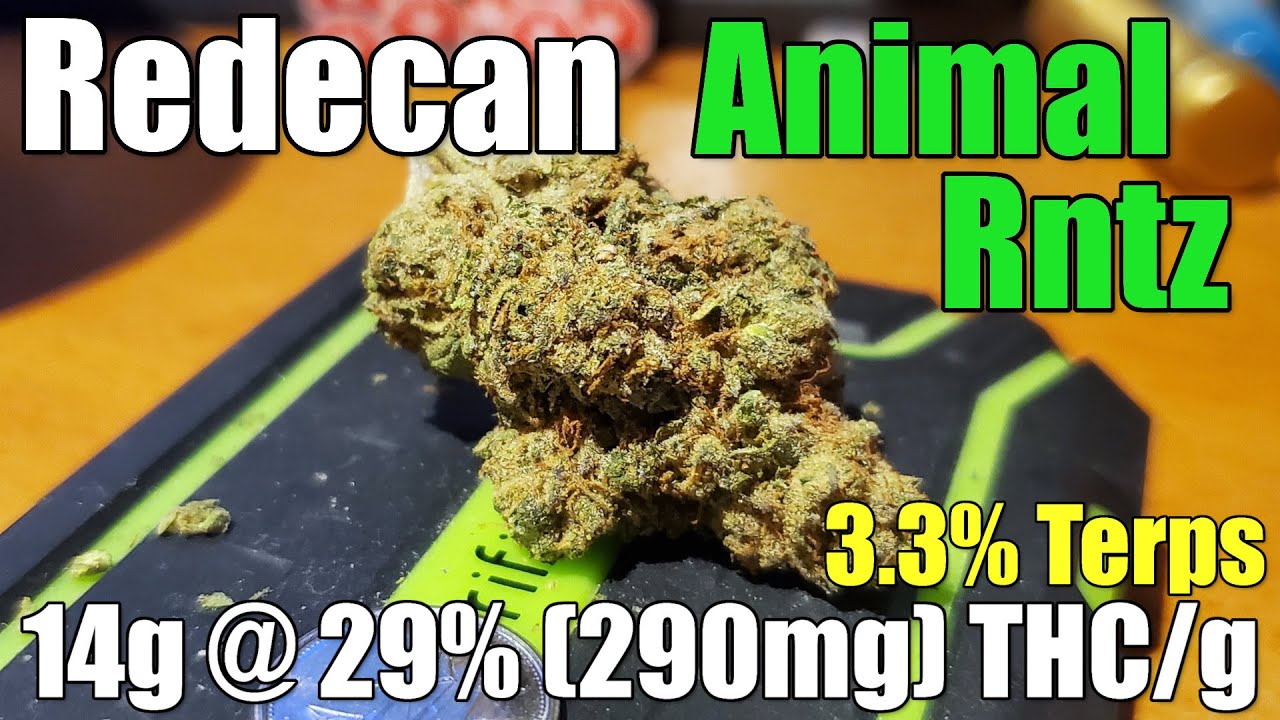 Redecan - Animal RNTZ - Unboxing Review - 14g @ 29% (290mg) THC/g | 3.3% Terps (+Extreme Closeups)