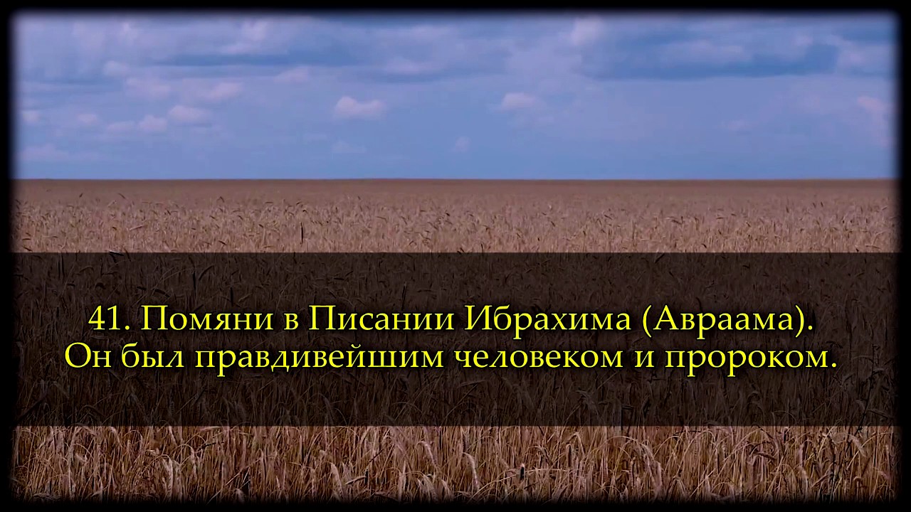 Саид Дубаха. Сура 