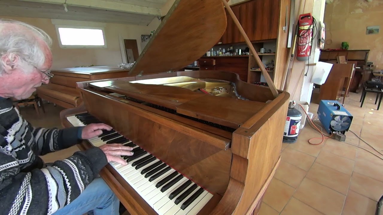 Scarlatti D Sonate