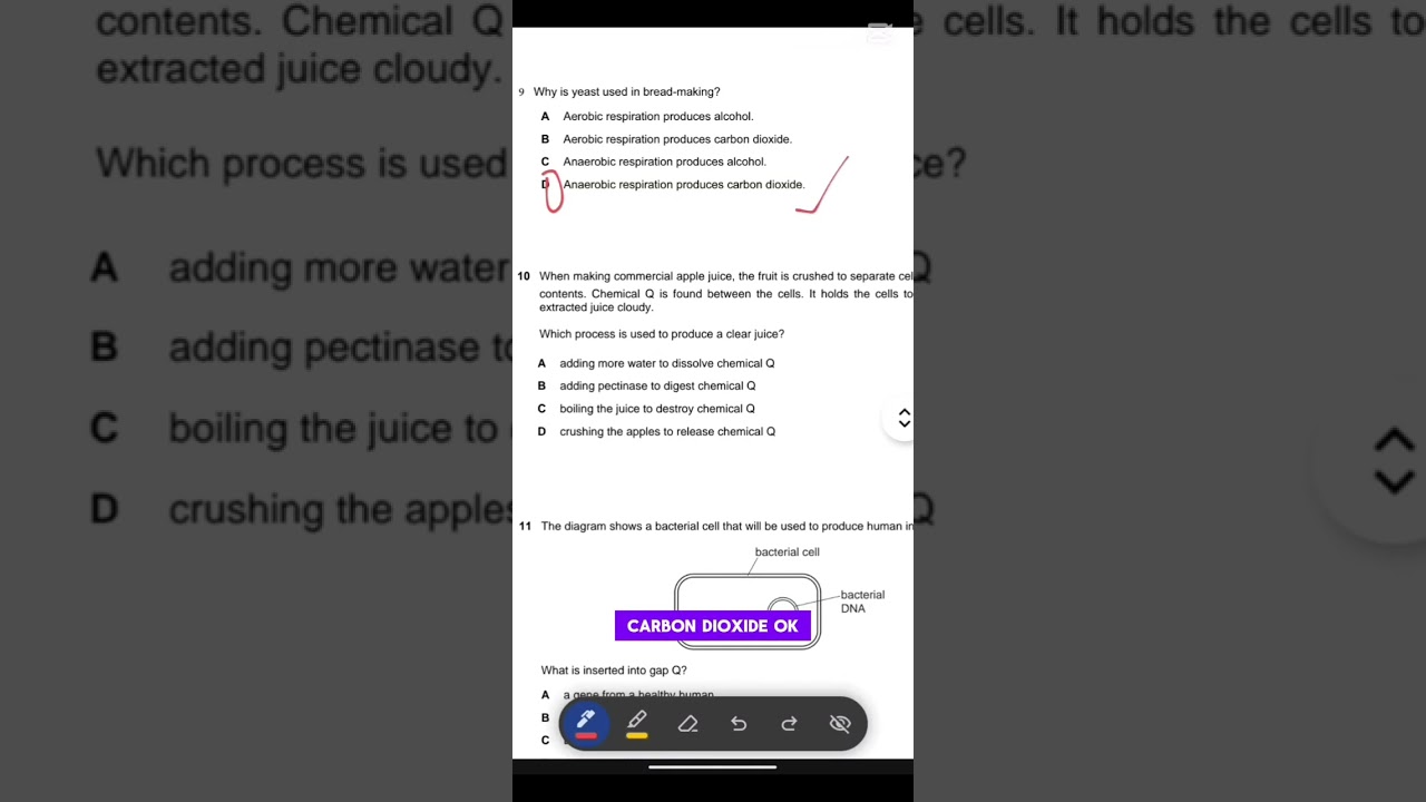 Biotechnology and Genetic Engineering: IGCSE Biology 