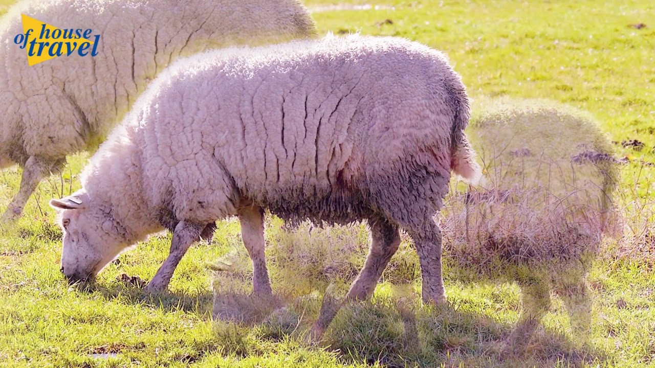 Op vakantie in eigen land - Groningen
