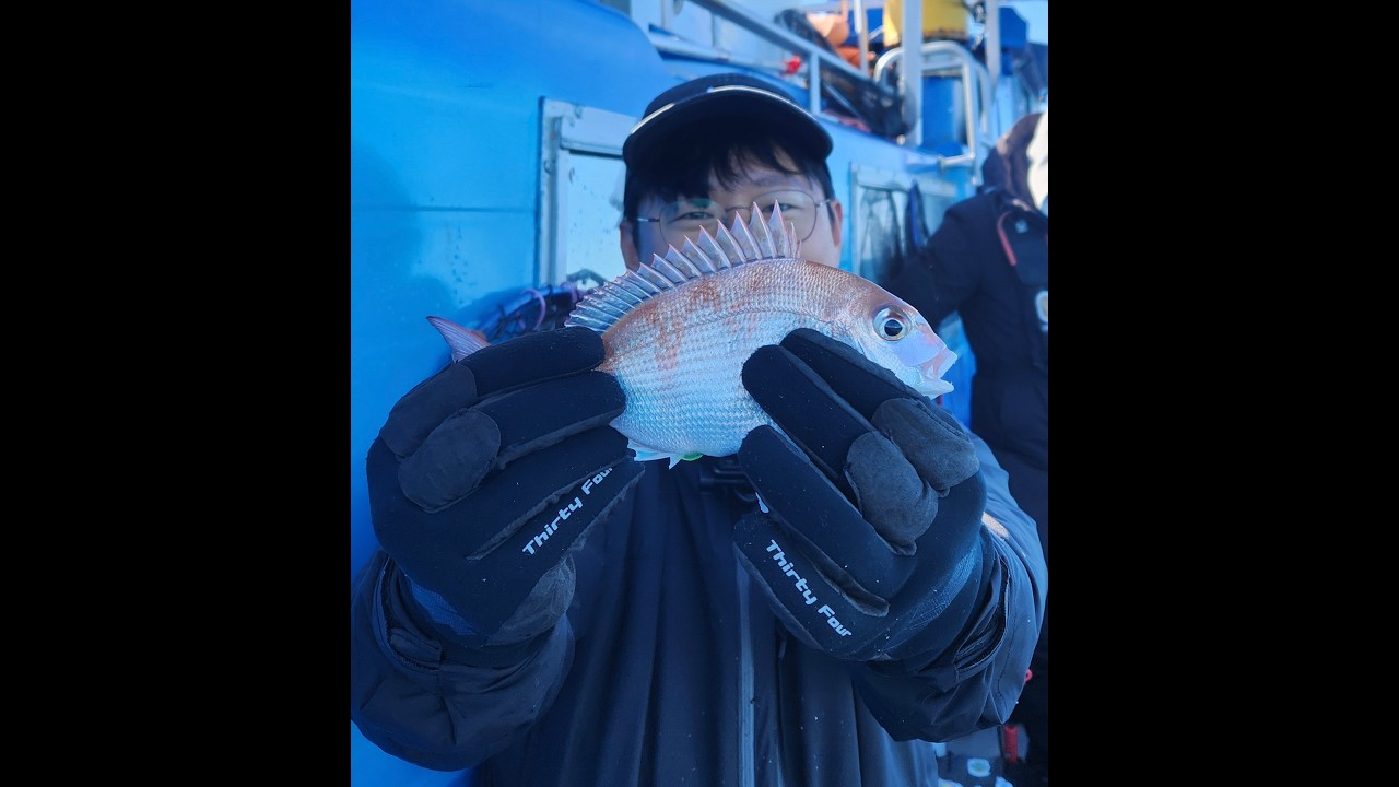 2/19 녹동 제니스3호 타이라바 tairruber