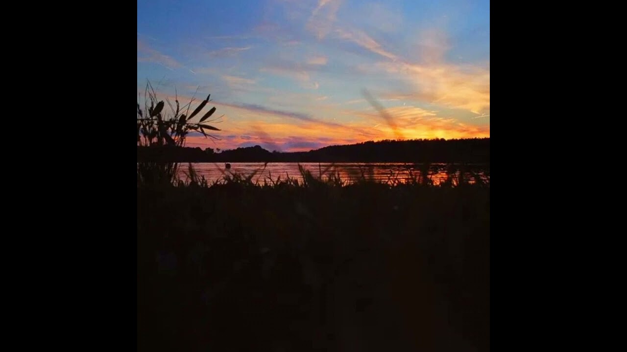 May - Moritz Michelson