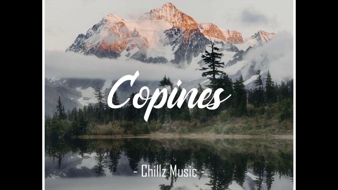 Aya Nakamura - Copines (1 hour loop) (slowed + reverb)