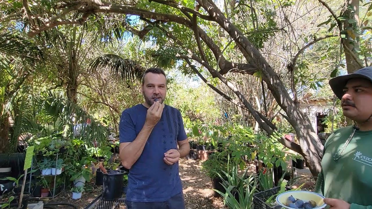 I Didn't Plan On This Much for My Birthday!  Nursery Hopping & Plant Haul