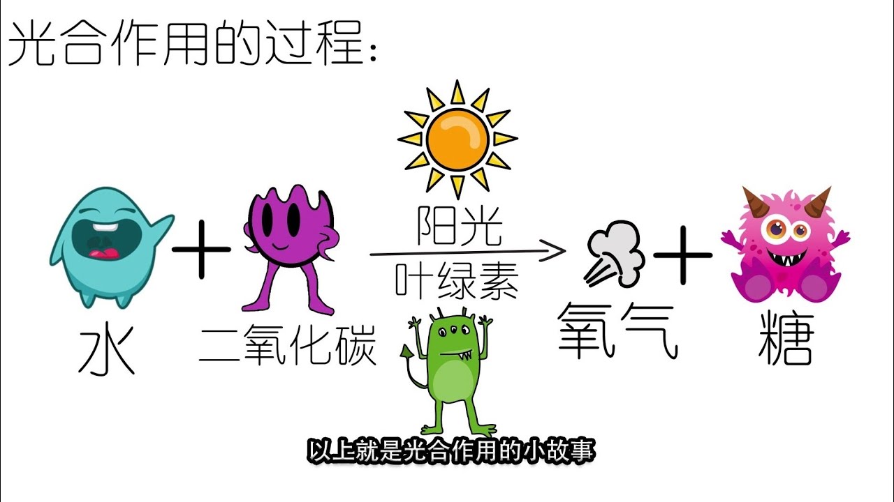 四年级 科学 第四课 植物的光合作用 【小故事说明光合作用是如何发生的】KSSR Semakan
