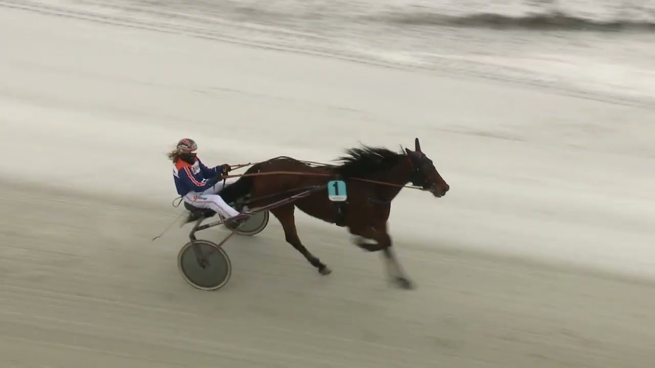 2026-02-25 Kvallopp